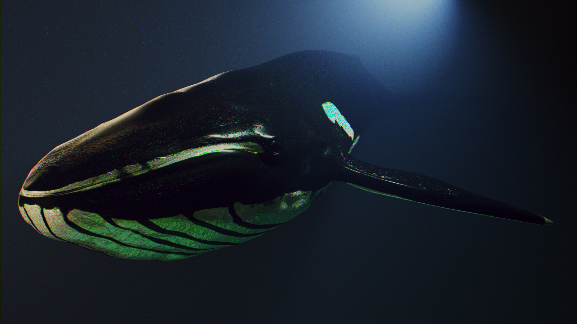 Blue whale rigged preview image 1
